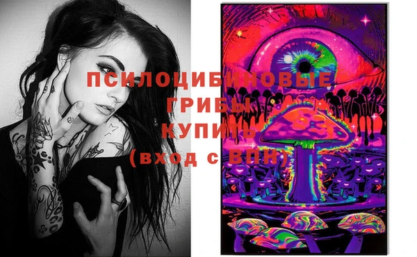 героин Няндома