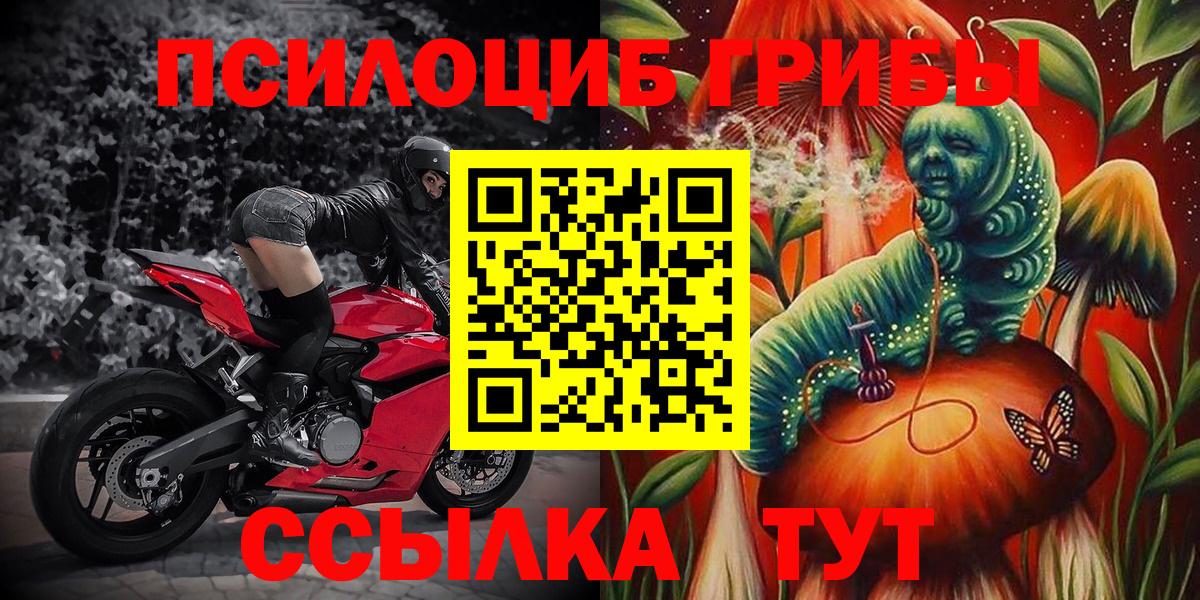 хочу наркоту  Псилоцибиновые грибы Magic Shrooms  Вход с VPN  Знаменск 