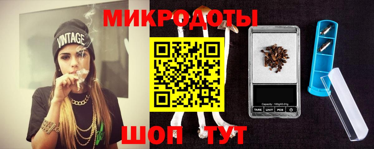 Галлюциногенные грибы Psilocybe Знаменск
