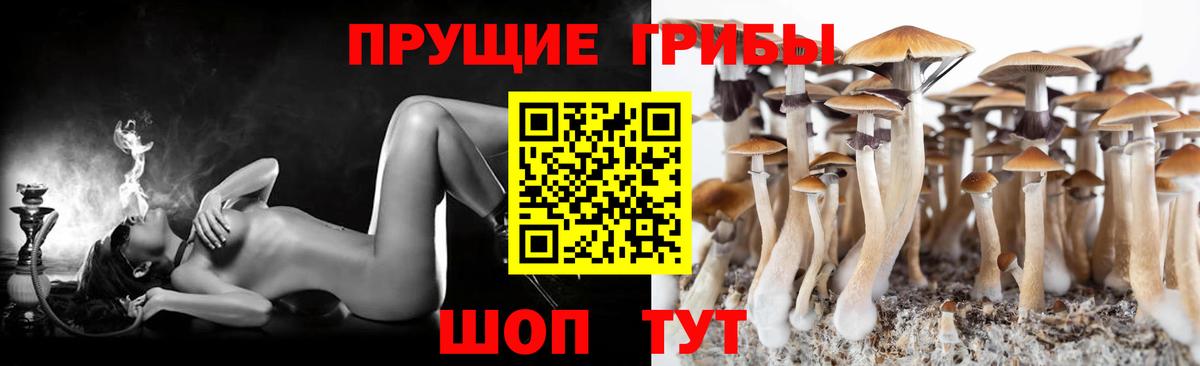 МЕФ Знаменск
