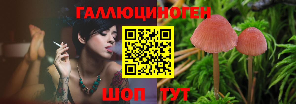 Галлюциногенные грибы GOLDEN TEACHER Знаменск