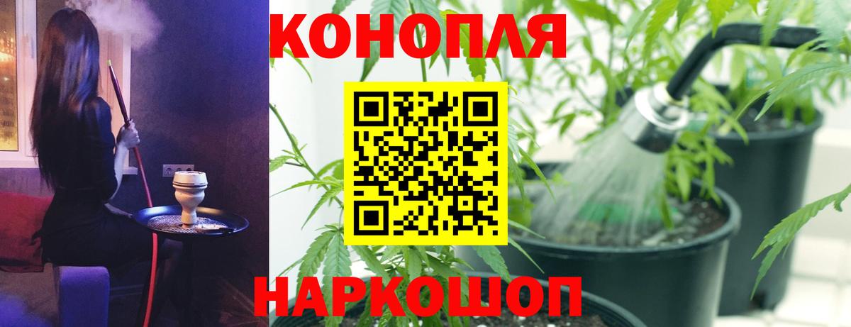 Шишки марихуана планчик  Шишки марихуана VHQ  Знаменск  Конопля марихуана  Вход с VPN 